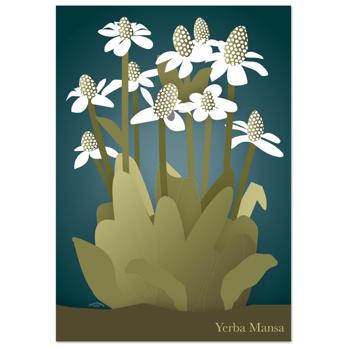 Enchanting Yerba Mansa Art Print on FOAM PVC BOARD - Green Pear House and Home
